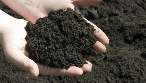Measurable Lawn Improvement Results Linked to Organic and Screened Soil for Sale