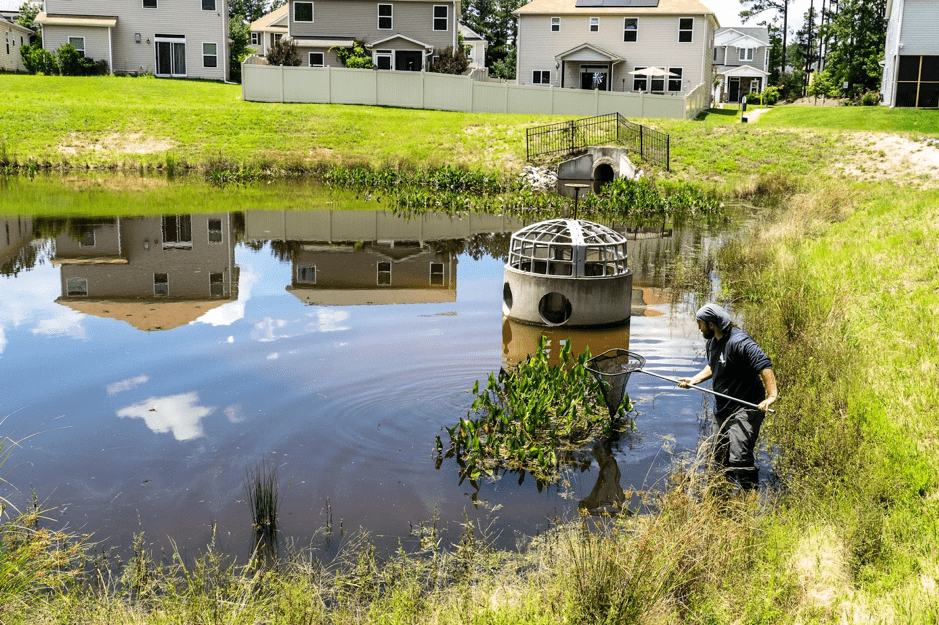 Pond water treatment